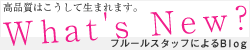 What's New?　フルールスタッフによるブログ